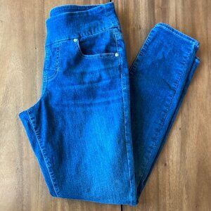 Jag Jeans / Nora Skinny / Size 8/31